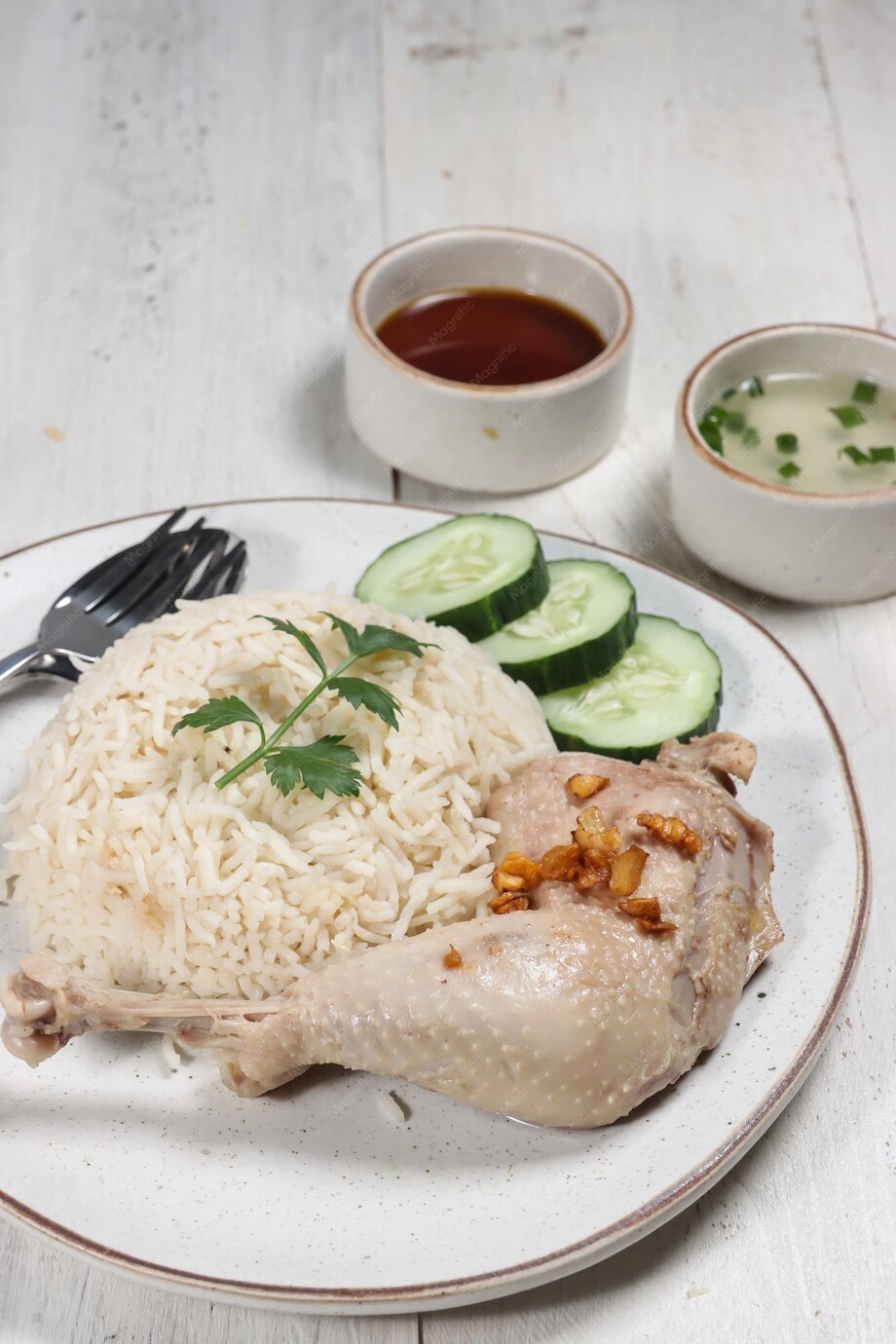 Nasi Hainan